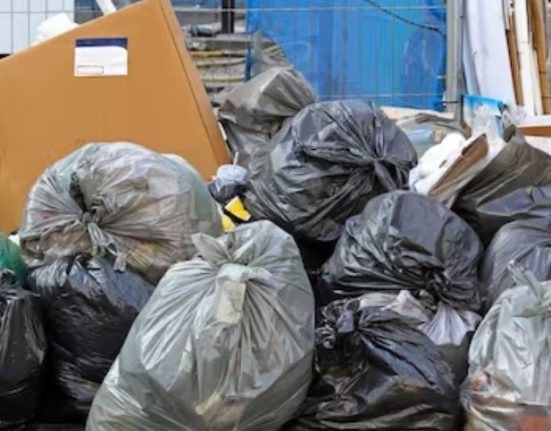 A woman became a millionaire by collecting garbage...