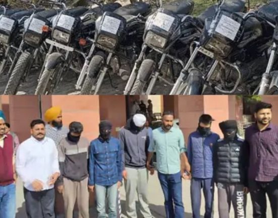 7 members of vehicle theft gang arrested in Mohali, used to sell cars with fake number plates...