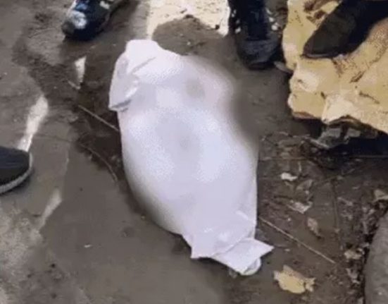 The body of a newborn baby was found on the bank of a drain in Ludhiana