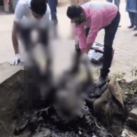 Headless Body Found Near Alawalpur Police Station in Jalandhar