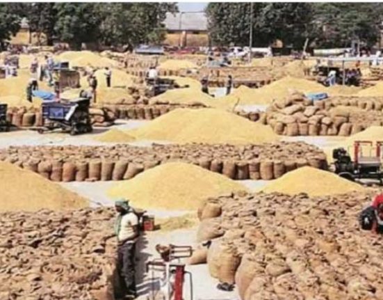Wheat purchase will start in Ludhiana from today...