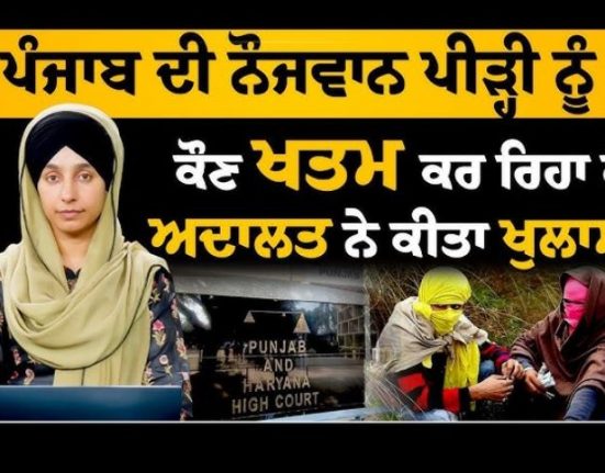 Who is misleading the young generation of Punjab, the court revealed