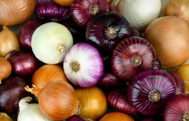 Government Lifts Ban on Onion Exports, Imposes Minimum Export Price of USD 550 Per Tonne