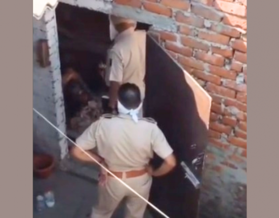 dead body found in box under cot in Gadaipur